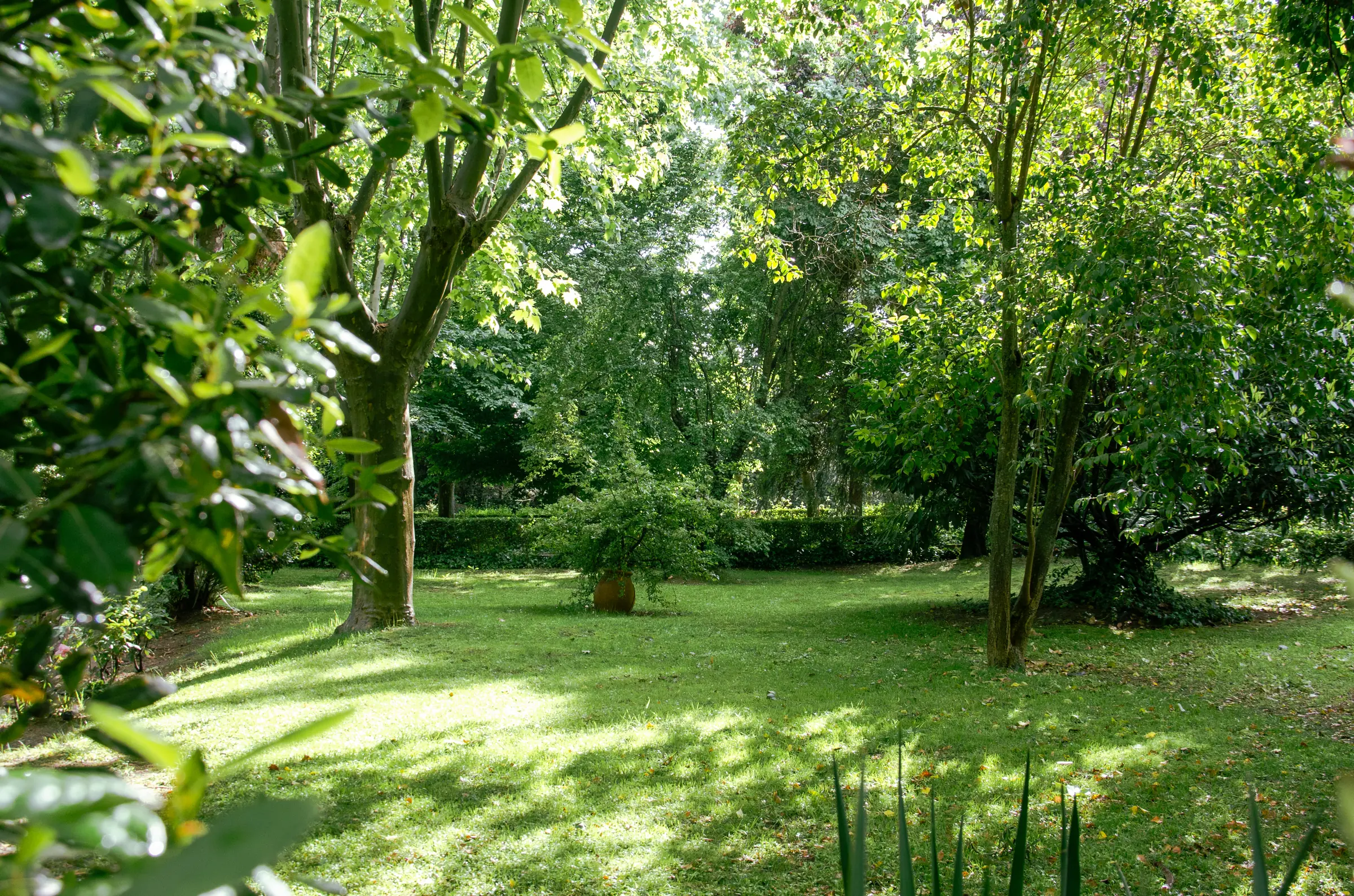 Jardín Casa Espiritualidad María Auxiliadora